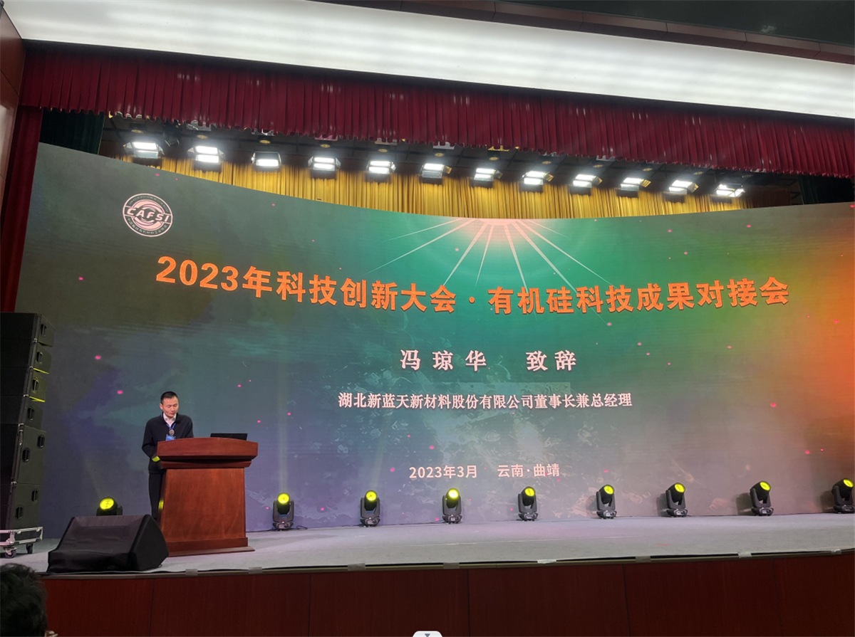 新蓝天组团参加中国氟硅协会科技创新大会