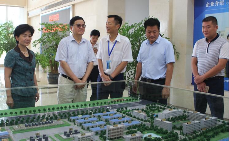 副省长郭生练一行来我司调研
