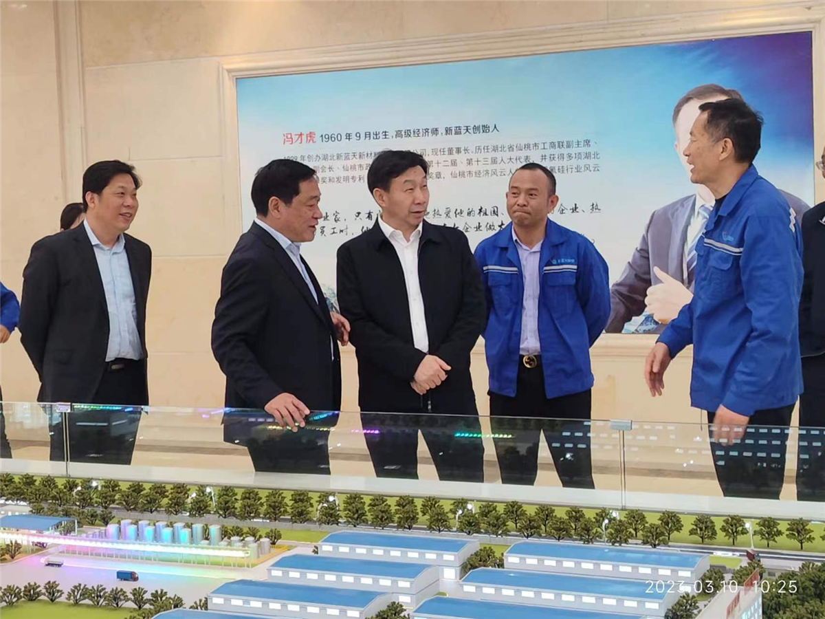 省应急管理厅厅长丁辉一行到临我司调研引导工作
