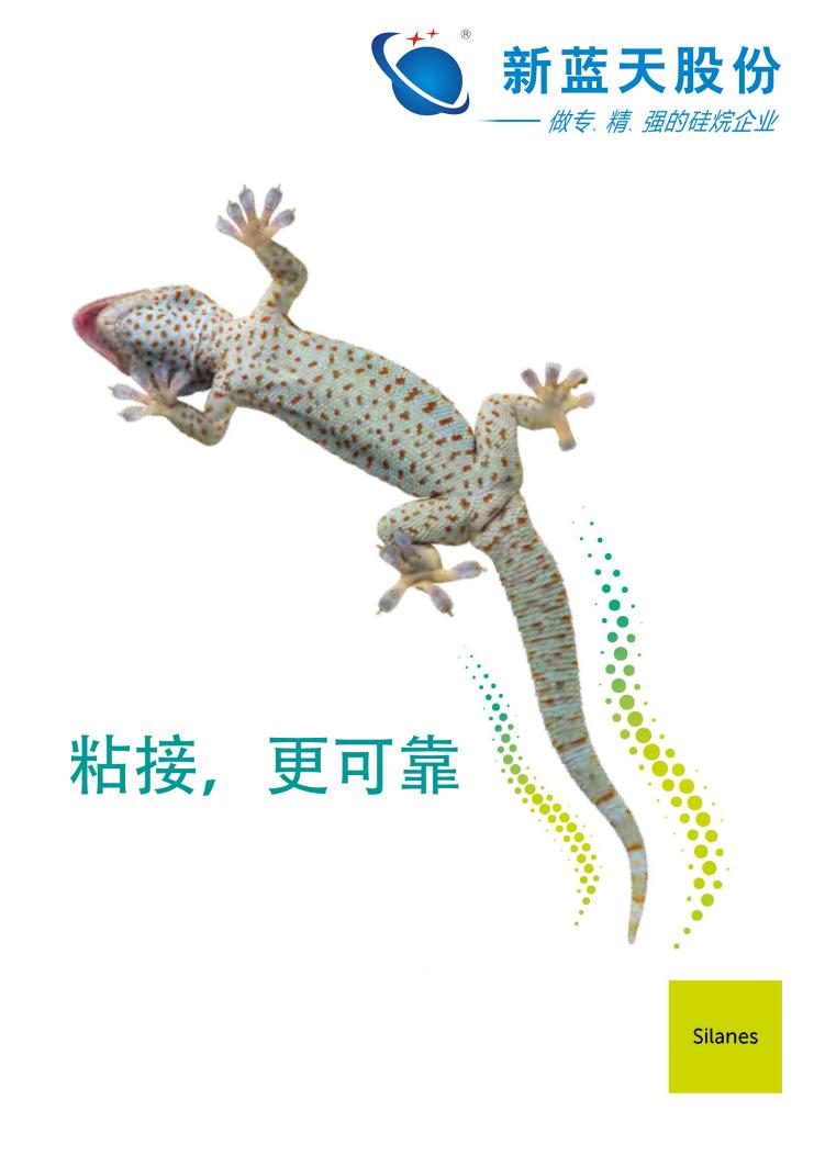 展会邀请函┃新蓝天诚邀您共赴2024国际涂料展